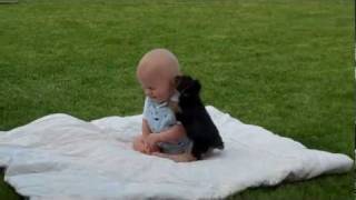 Baby playing with cuddly dog