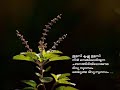 THULASI KRISHNA THULASI