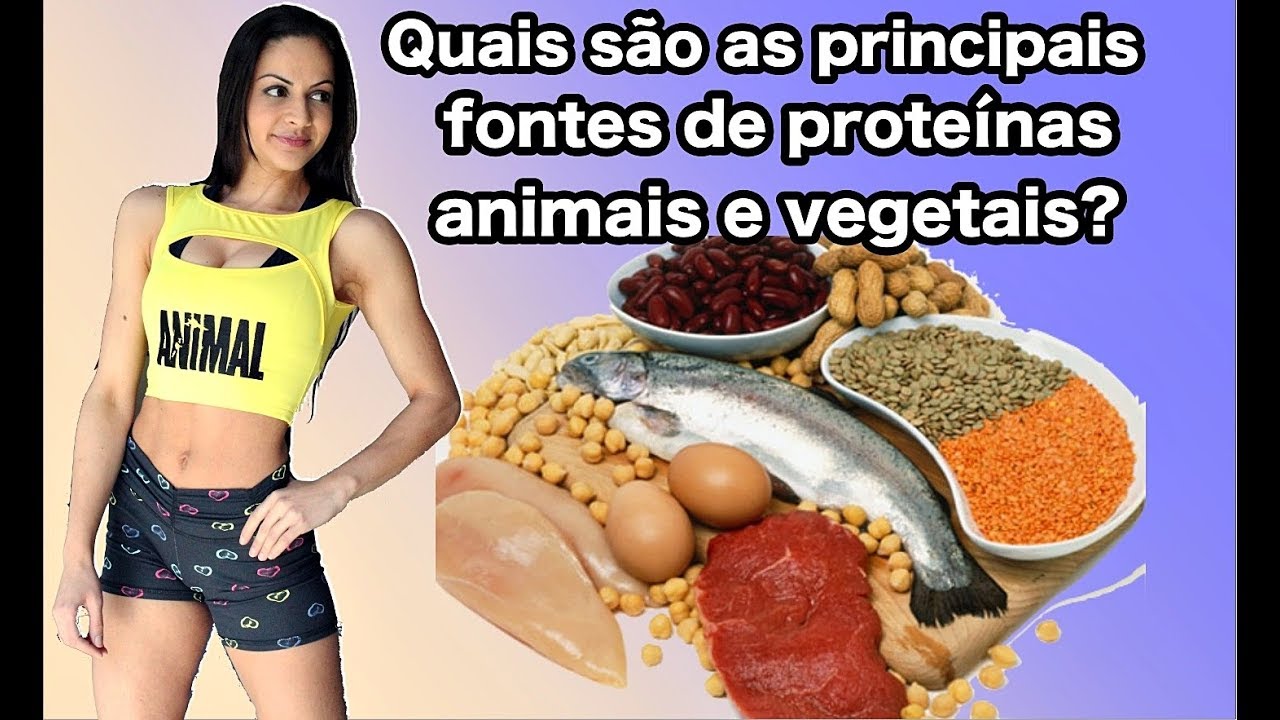 Principais fontes de proteínas animais e vegetais