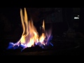 Campfire Sing Along