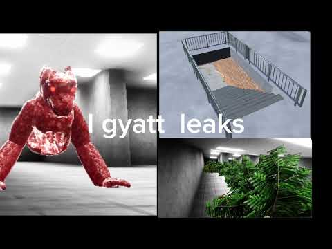 Gyatt Leaks