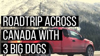 Travelling Across Canada with 3 Big Dogs | Driving from Ontario to British Columbia