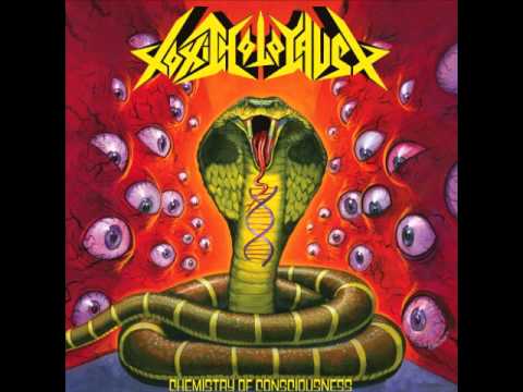 Toxic Holocaust - Out of the Fire