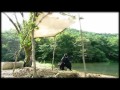 Warrior Baek Dong Soo Cheon Gwang Taek