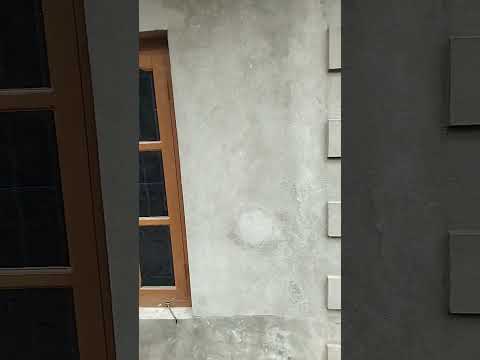 Annapurna and billy cat