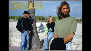BEE GEES:  MR NATURAL (LIVE)
