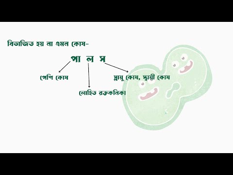 কোন কোষ গুলো বিভাজন হয় না এবং কোন কোষ গুলো দ্রুত বিভাজিত হয় তার শর্টকাট। #biologysoldiers#কোষ_বিভাজন থাম্বনেইল