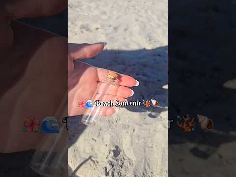 Beach Souvenir! 🏖️