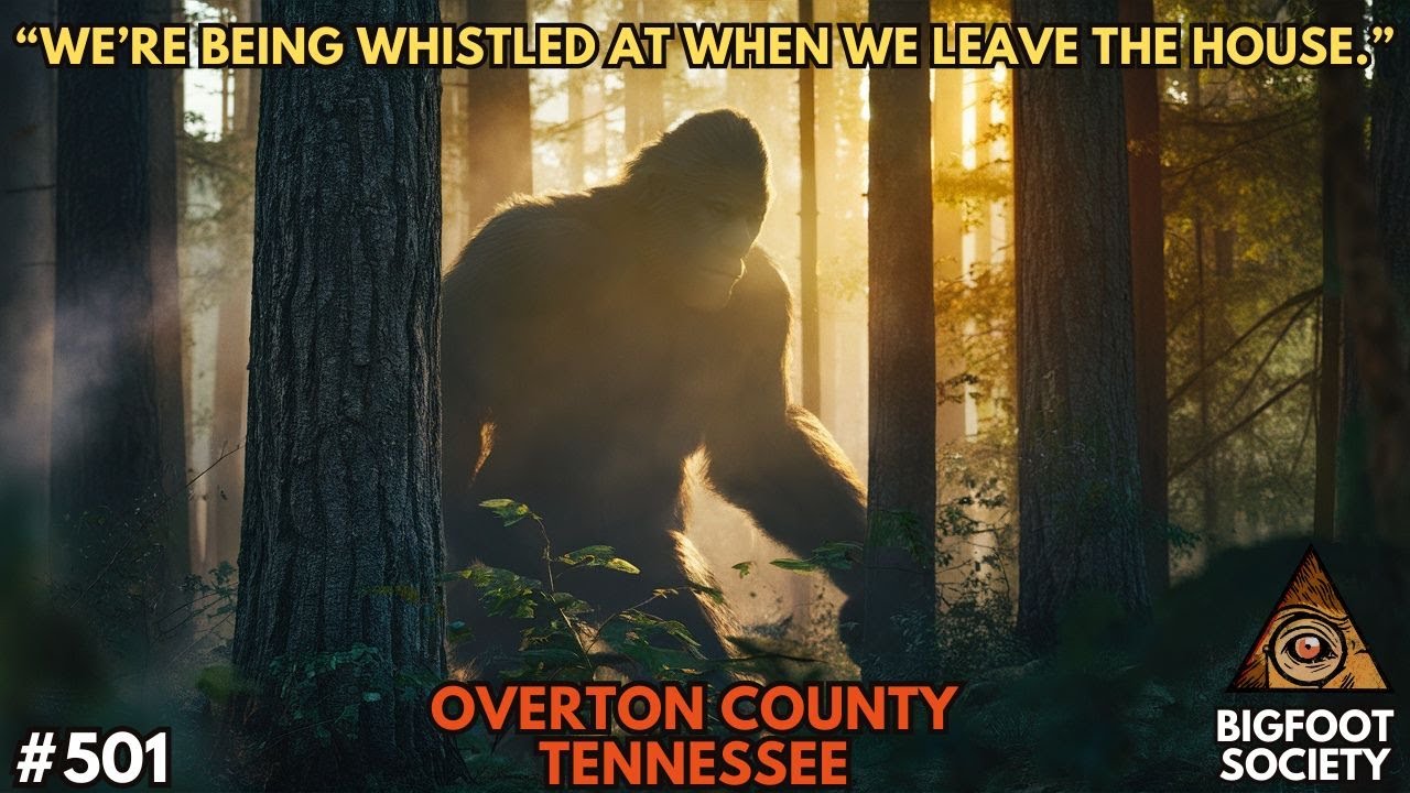 It Kept Luring Us into the Woods with Our Names.