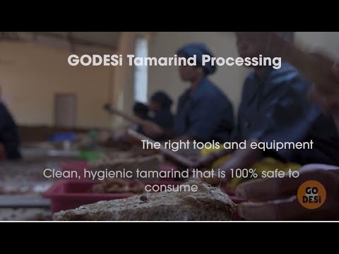 GO DESi Tamarind Comparison | Tamarind Harvesting and Processing | KUDLIGI, KARNATAKA |
