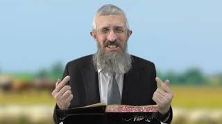 מסכת זבחים דף כז - 8 דקות של לומדות ועמקות בדרך הלימוד הישיבתית [Zevachim 27]