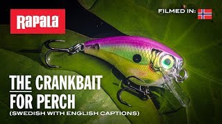 Rapala BX Brat 06 BOC
