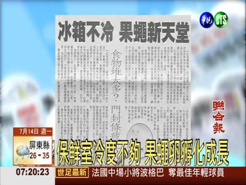 冰箱"不夠冷" 成為果蠅新天堂