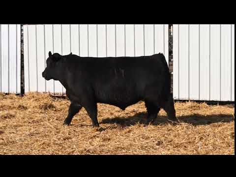 Listing 51768517731-video