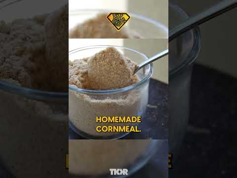 🌽🐜 DIY Ant Control: Natural Cornmeal Trick to Clear Out Pests! 🌿 | TKOR