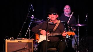 Tony Joe White - Steamy Windows