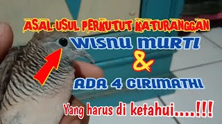 Download lagu Wisnu Murti Turtle Dove has 4 characteristics mp3 Download lagu Wisnu Murti Turtle Dove has 4 characteristics mp3