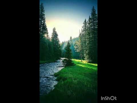 Márcio Júlio  "Meu grande amor é você"