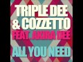 Triple Dee, Cozzetto, Akira Dee - All You Need ...