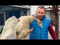 Kaz Eti Yemek Pişirme