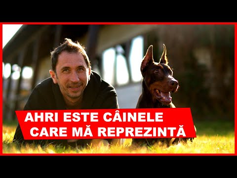 Cristian Fetter & Ahri | The Secret Language of Dogs