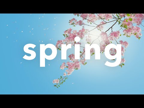 🍩 Happy Spring No Copyright Free Playful & Cute LoFi Background Music for Vlog - "Donut" by Lukrembo