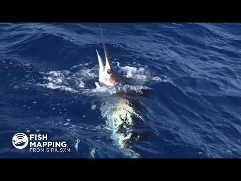 National Seminar Series' George Poveromo on Fish Mapping | 2022