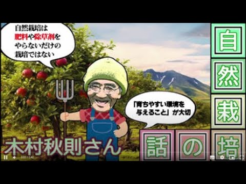 あなたの植物が天然のカリウムを豊富に含む肥料の恩恵を無料で受けられたらどうなるでしょうか?集中！  庭園