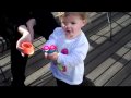 Shelby Bubbles