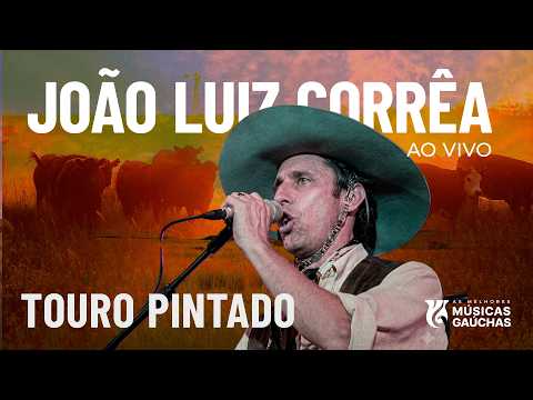 Touro Pintado video