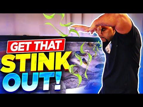 YouTube video about: How do I stop my fish tank from smelling?