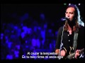 Children Of The Light (Hijos De La Luz) Cornerstone / Hillsong Live