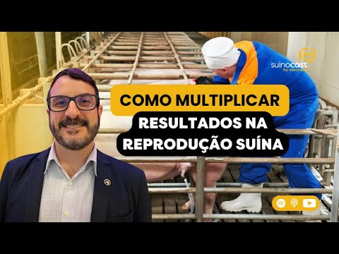 MICROBIOMA, HIPERPROLIFICIDADE E MACHOS DE ELITE - Dr. Ricardo Zanella