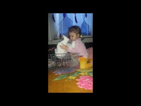 Nejla Šabić 20.04.2015-20.04.2018