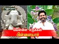 குறைகளை தீர்க்கும் வெள்ளை எருக்கன் ப