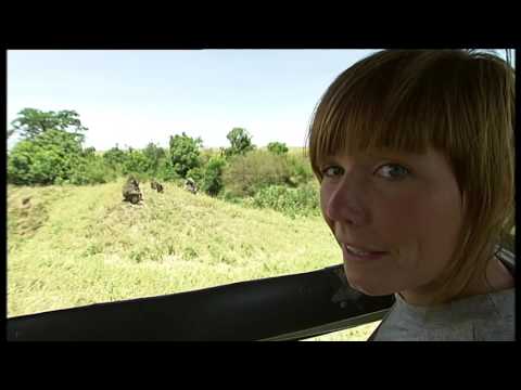 Minimyror   Barnkanalen 3