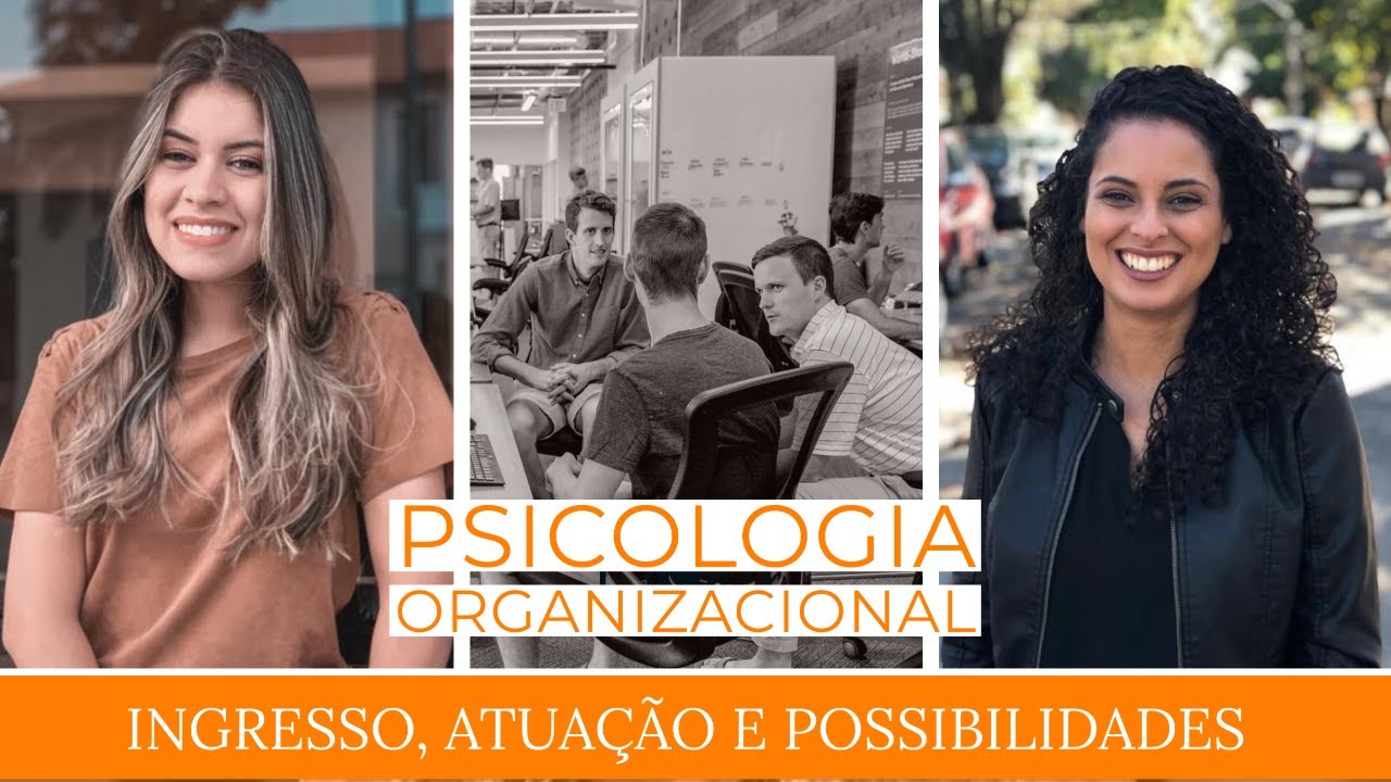 TUDO SOBRE PSICOLOGIA ORGANIZACIONAL - Entrevista
