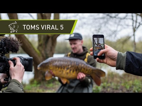 TOMS VIRAL 5