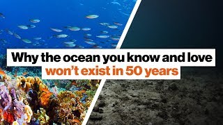 Why the ocean you know and love won’t exist in 50 years | David Wallace-Wells
