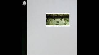 Architect - Noise Is Out Of Stock (2005)