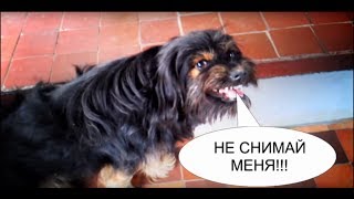 Я тебя чуть-чуть сниму