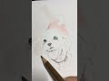 1時間お絵描きチャレンジ 4 100 マルチーズ 色鉛筆イラスト a white dog イラストメイキング ワンドロ drawing