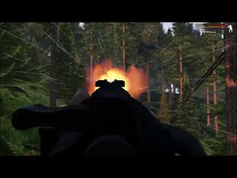 late summer evening forest walks be like