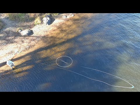 Critical Elements of a Spey Cast - "That's the Key!"