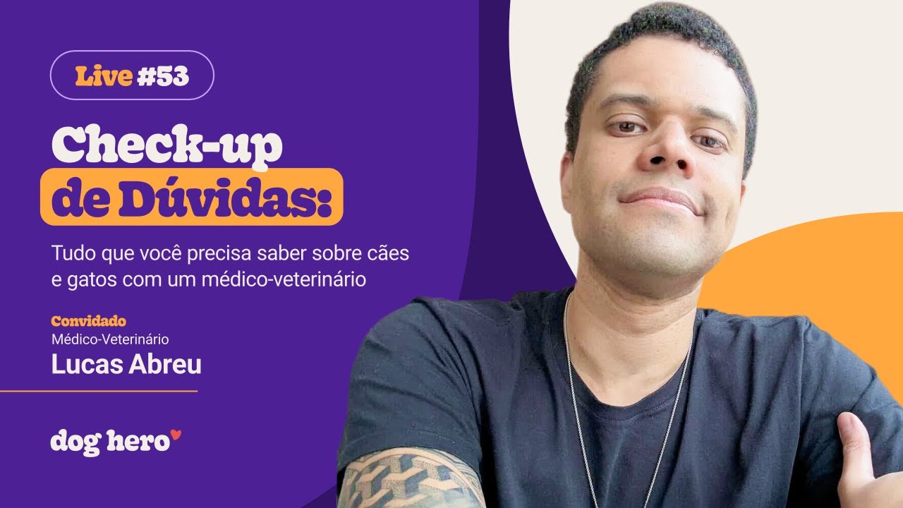 Check-up de Dúvidas: Tudo que você precisa saber sobre cães e gatos com um médico veterinário