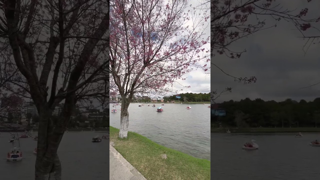 YouTube Short thumbnail