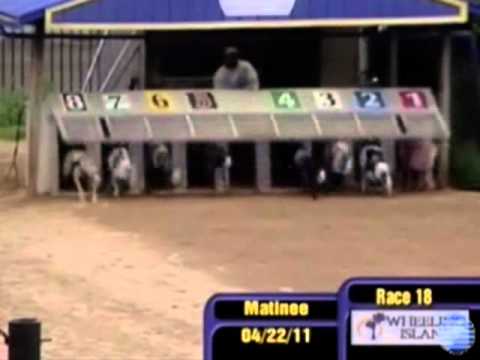 Wheeling Greyhound Racing Programs