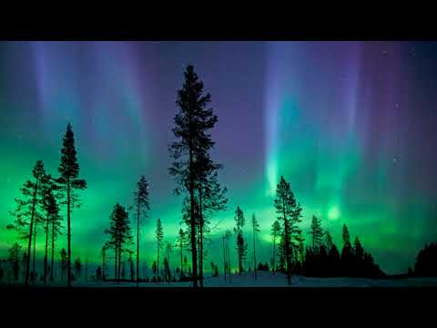 Grum feat. Sarah Appel - Come Alive 432hz