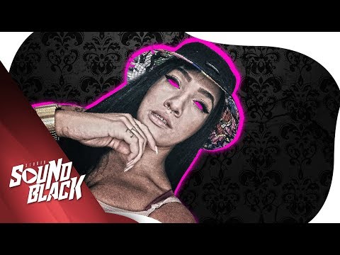 Carol Pécora - Lutando pra vencer (Lyric Vídeo) Sound Black