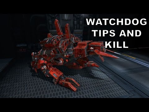 R-4 SM Watchdog Tips and Kill